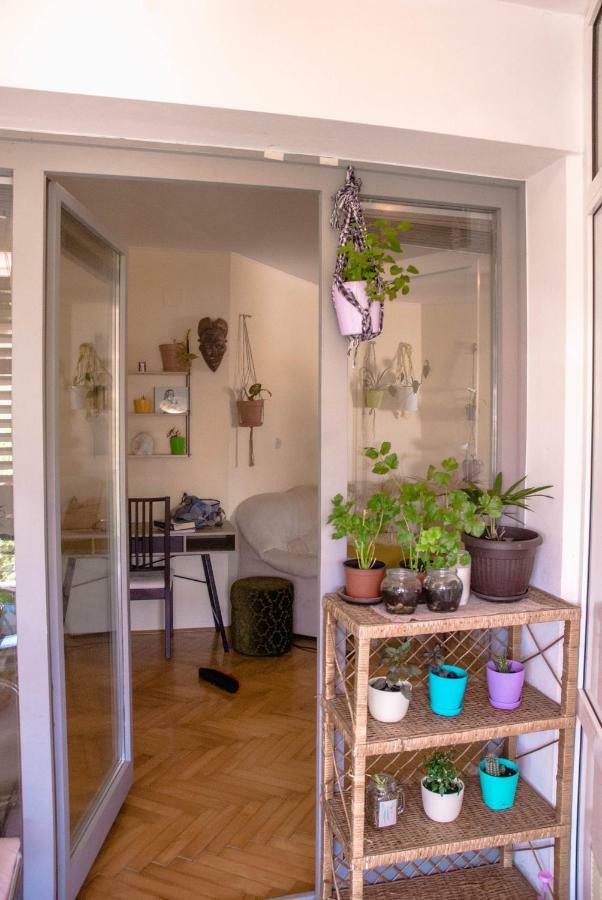 Yolanda Apartment